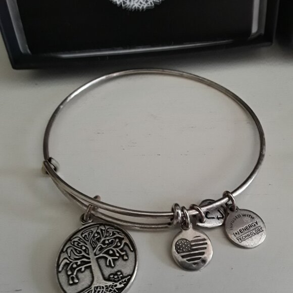 Alex and Ani Charm Bracelets - Set of Two - NIB - Picture 4 of 8